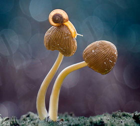 ddos在线攻击工具